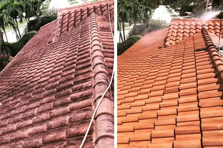 Roof Cleaning Companies in Sarasota